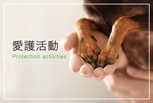 愛護活動